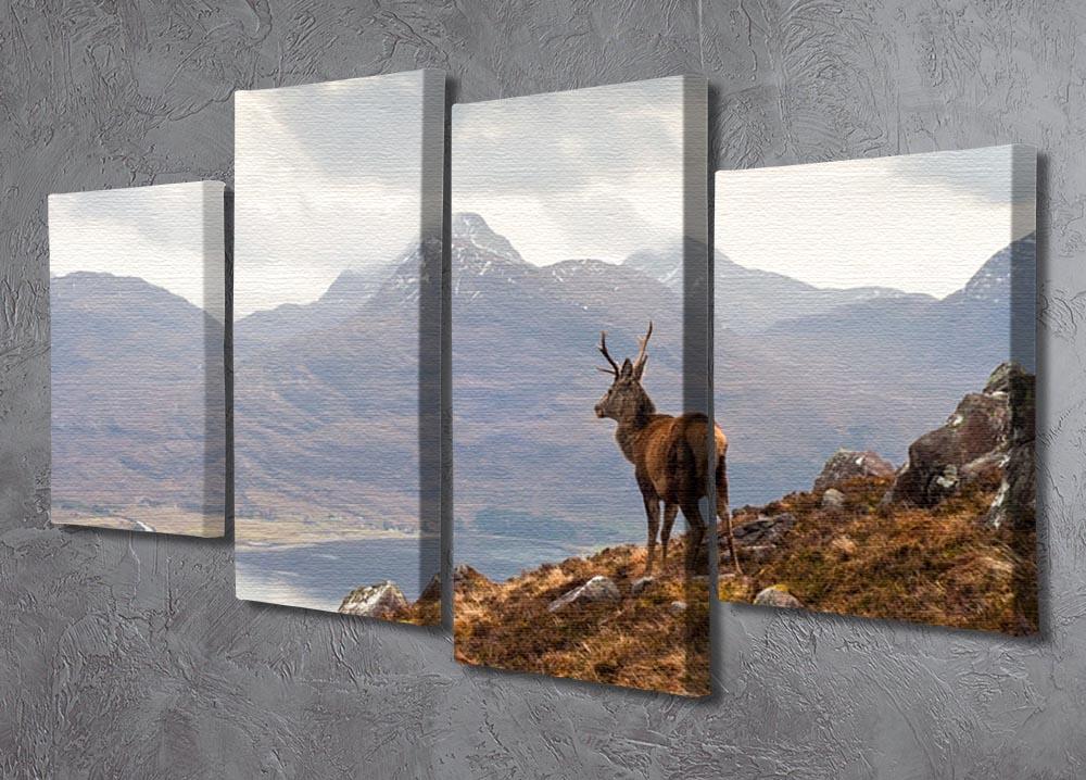 Wild stag overlooking Loch Torridon 4 Split Panel Canvas - Canvas Art Rocks - 2