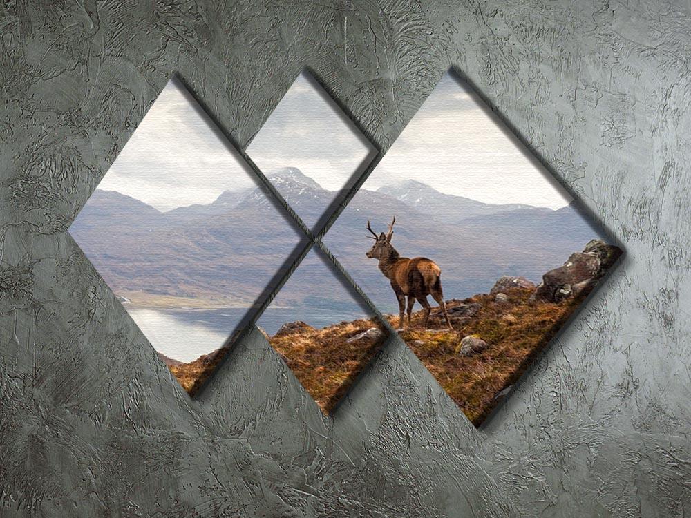 Wild stag overlooking Loch Torridon 4 Square Multi Panel Canvas - Canvas Art Rocks - 2