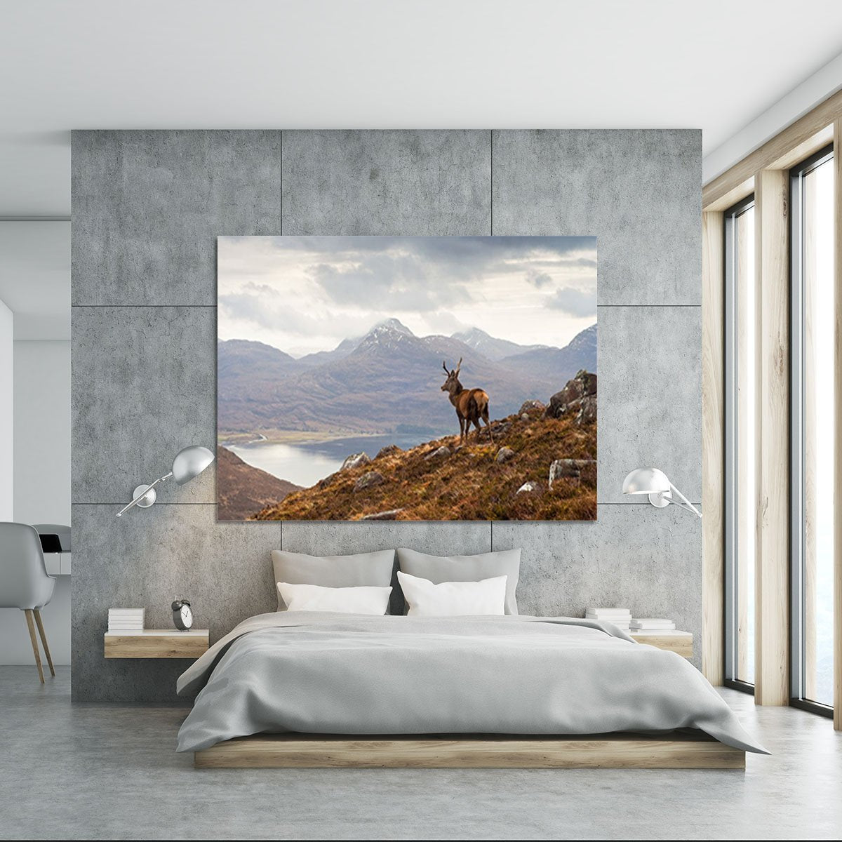 Wild stag overlooking Loch Torridon Canvas Print or Poster