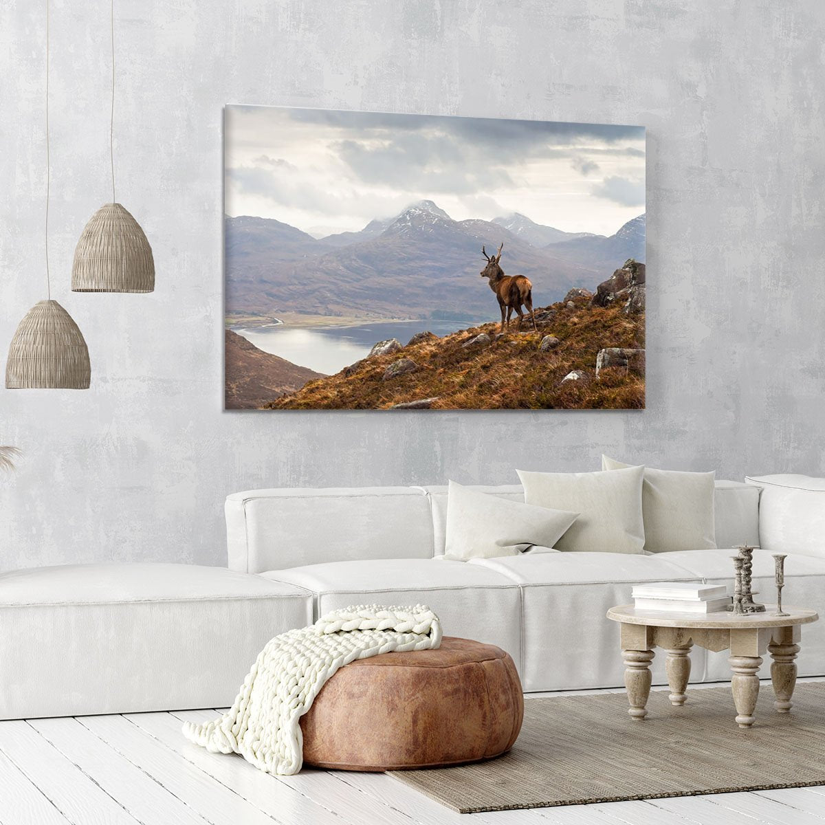 Wild stag overlooking Loch Torridon Canvas Print or Poster