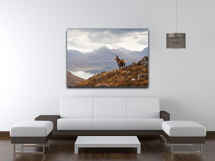 Wild stag overlooking Loch Torridon Canvas Print or Poster - Canvas Art Rocks - 4