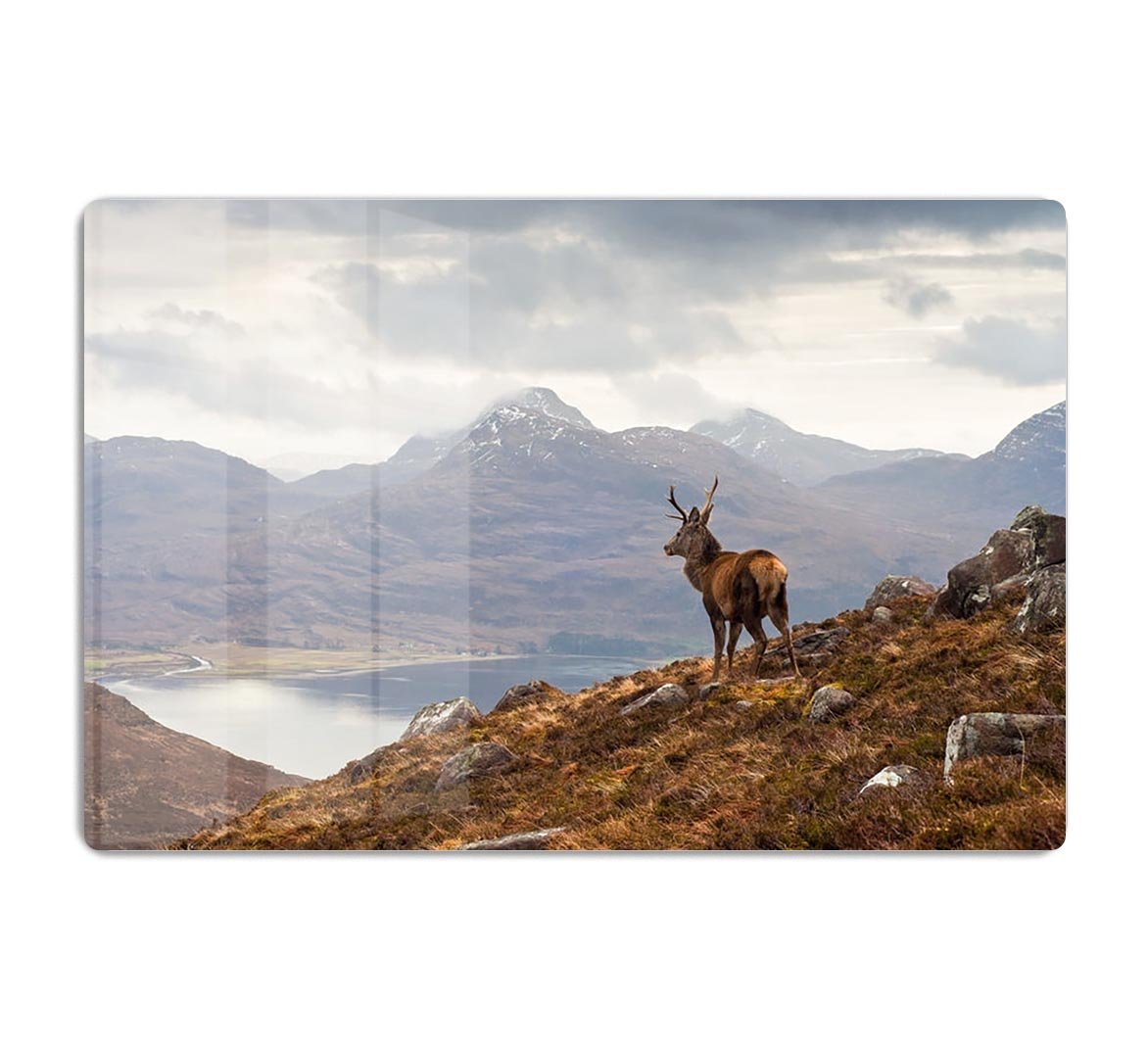 Wild stag overlooking Loch Torridon HD Metal Print - Canvas Art Rocks - 1