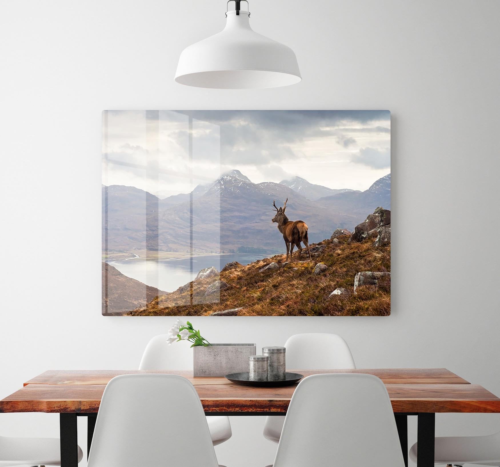 Wild stag overlooking Loch Torridon HD Metal Print - Canvas Art Rocks - 2