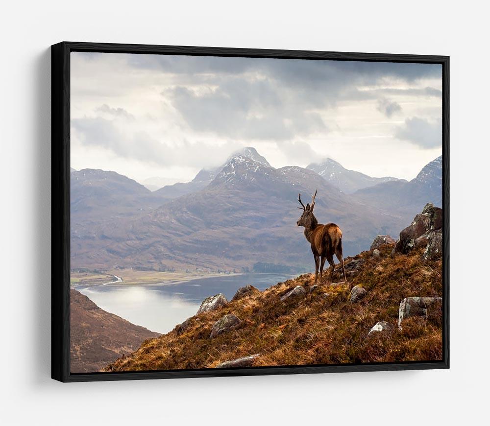 Wild stag overlooking Loch Torridon HD Metal Print - Canvas Art Rocks - 6