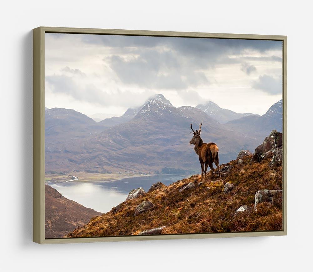 Wild stag overlooking Loch Torridon HD Metal Print - Canvas Art Rocks - 8
