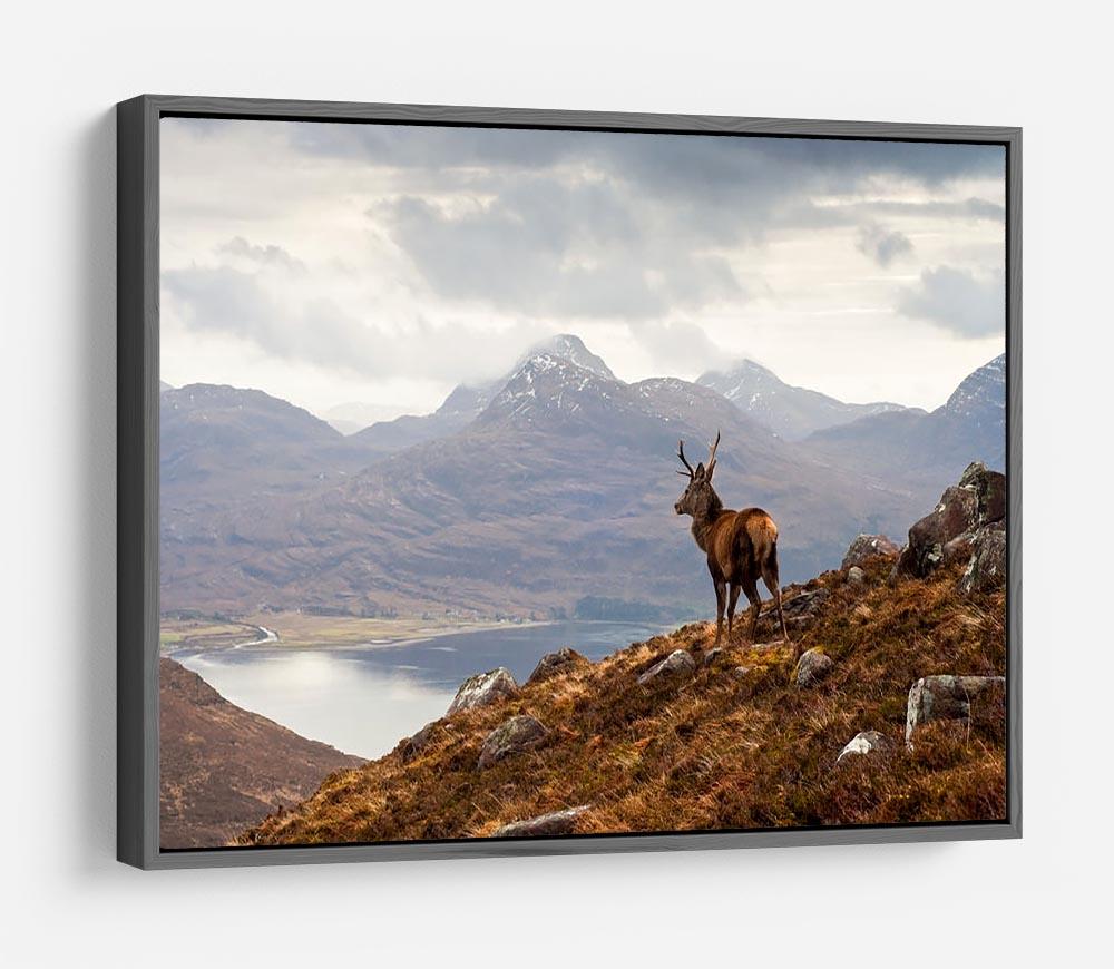 Wild stag overlooking Loch Torridon HD Metal Print - Canvas Art Rocks - 9