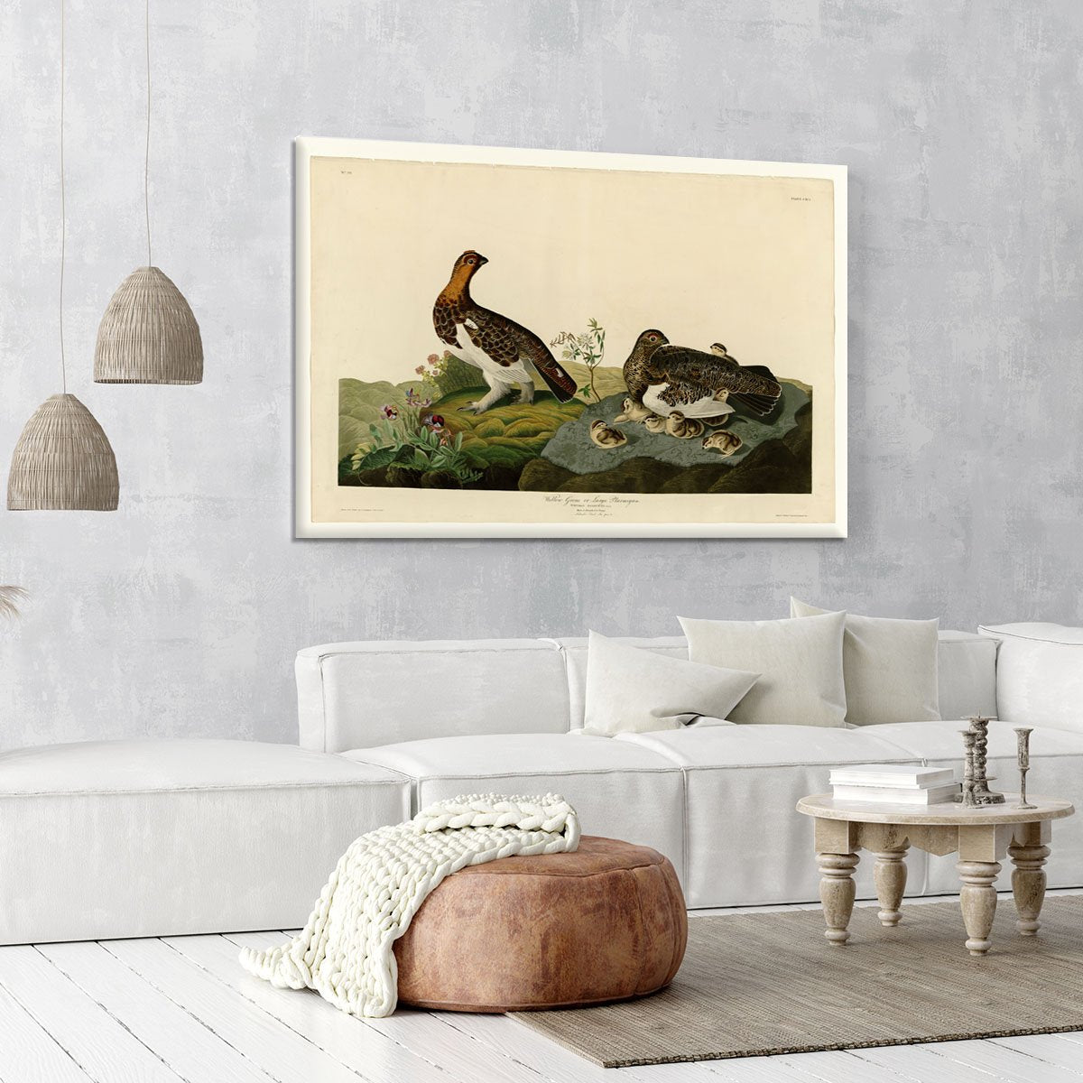 Willow Grouse by Audubon Canvas Print or Poster