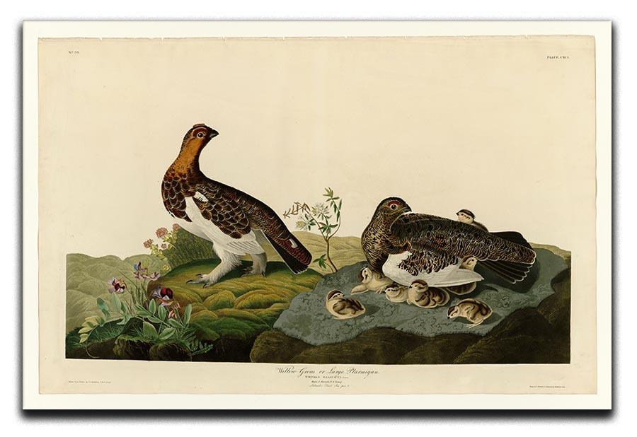 Willow Grouse by Audubon Canvas Print or Poster - Canvas Art Rocks - 1