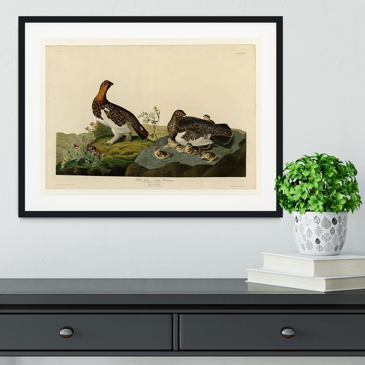 Willow Grouse by Audubon Framed Print - Canvas Art Rocks - 1