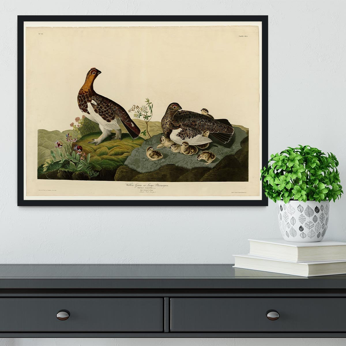 Willow Grouse by Audubon Framed Print - Canvas Art Rocks - 2