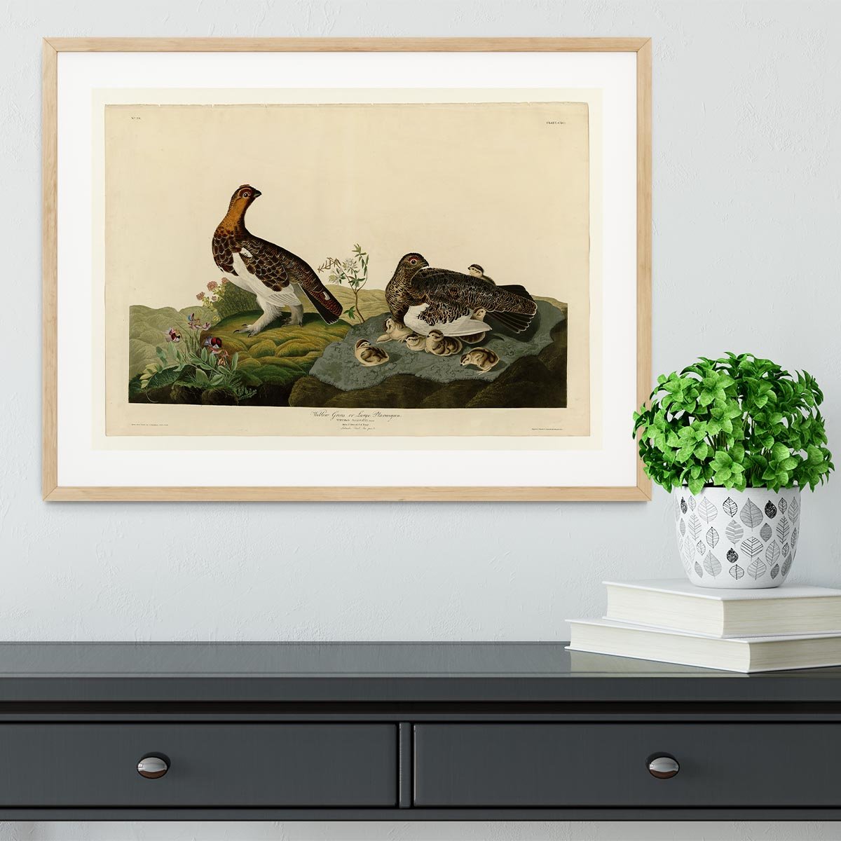 Willow Grouse by Audubon Framed Print - Canvas Art Rocks - 3