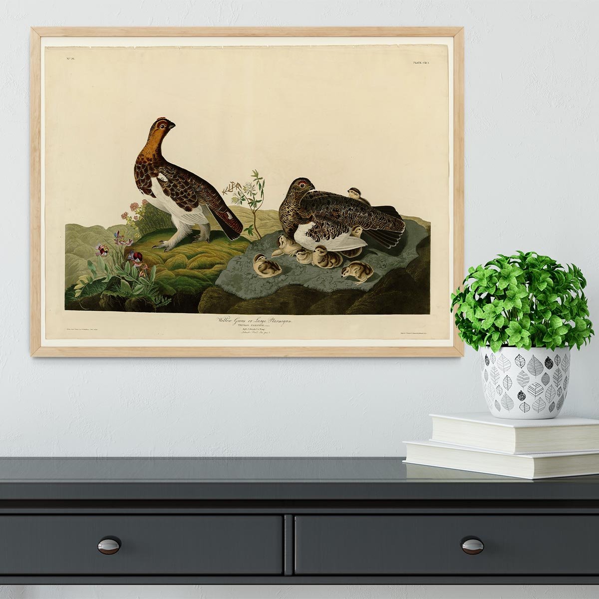 Willow Grouse by Audubon Framed Print - Canvas Art Rocks - 4
