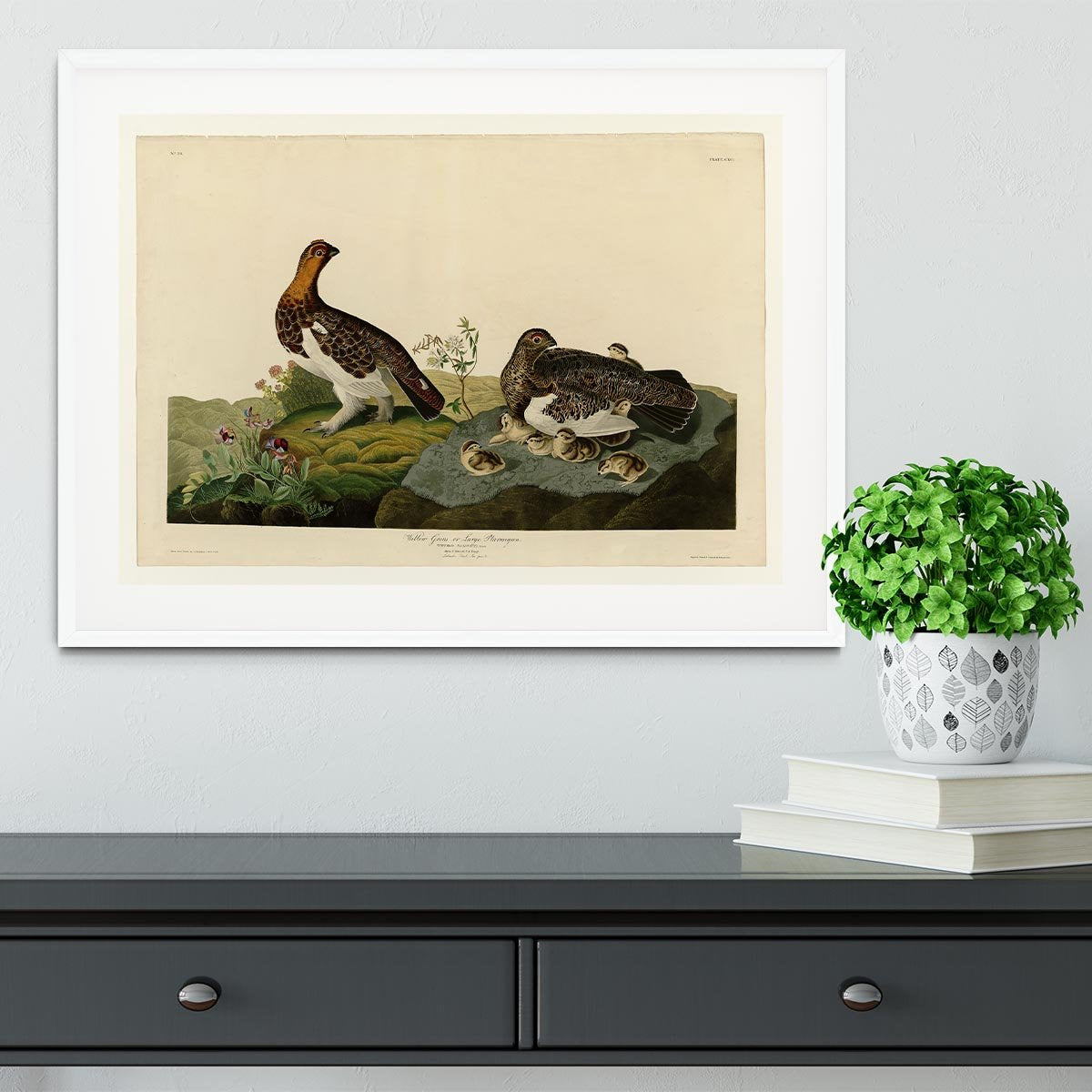 Willow Grouse by Audubon Framed Print - Canvas Art Rocks - 5