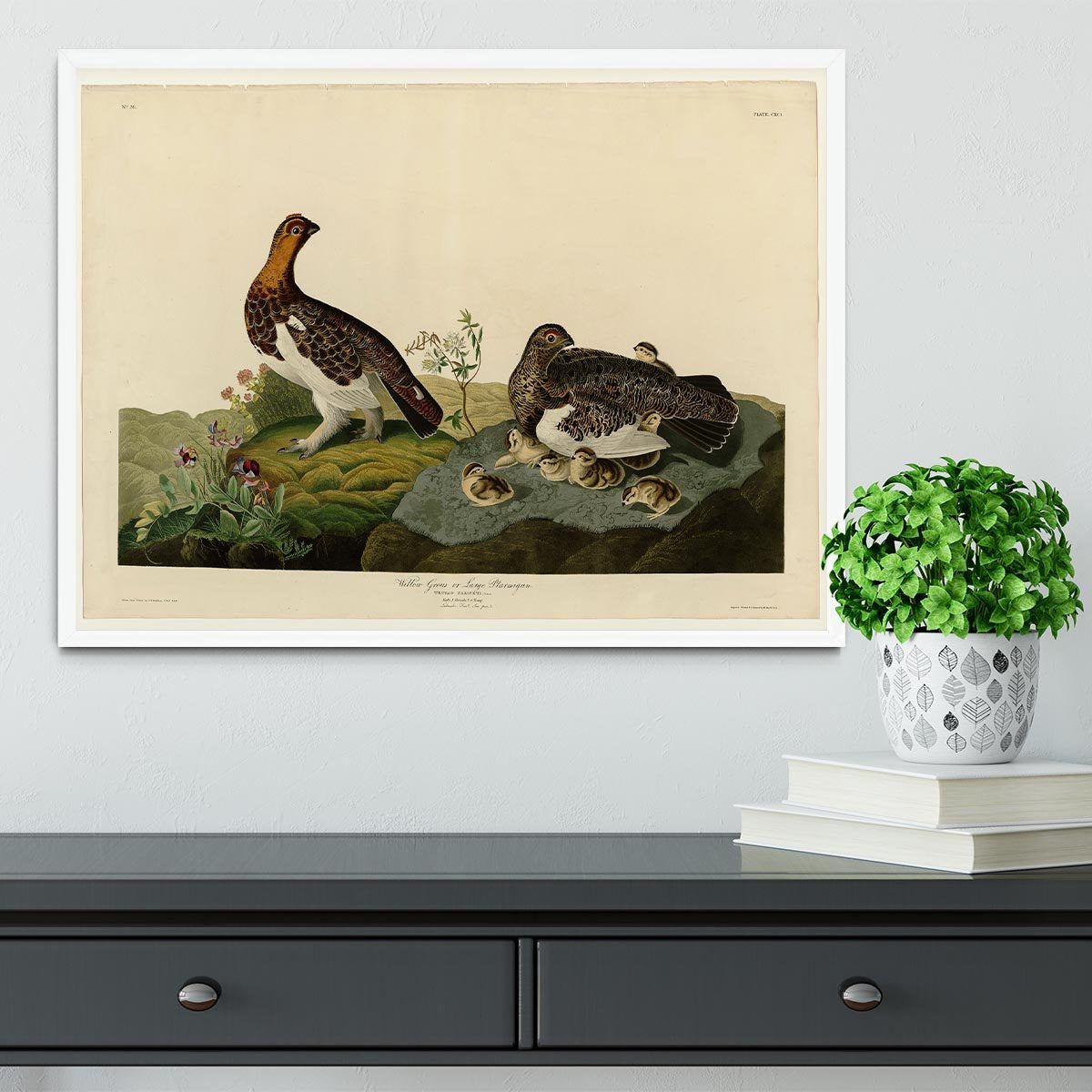Willow Grouse by Audubon Framed Print - Canvas Art Rocks -6