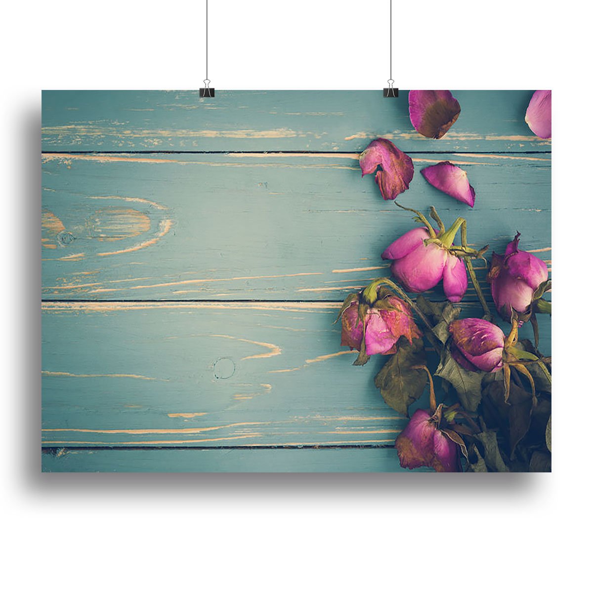 Wilted Flower Vintage Background Canvas Print or Poster
