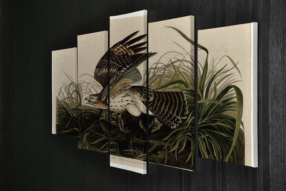 Winter Hawk by Audubon 5 Split Panel Canvas - Canvas Art Rocks - 2