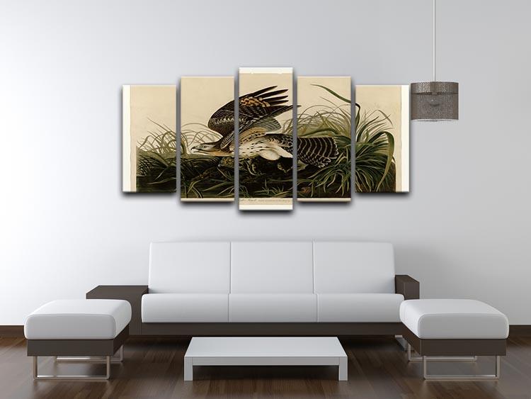 Winter Hawk by Audubon 5 Split Panel Canvas - Canvas Art Rocks - 3