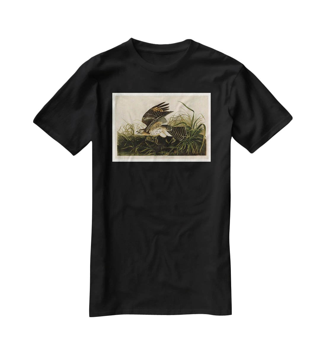 Winter Hawk by Audubon T-Shirt - Canvas Art Rocks - 1