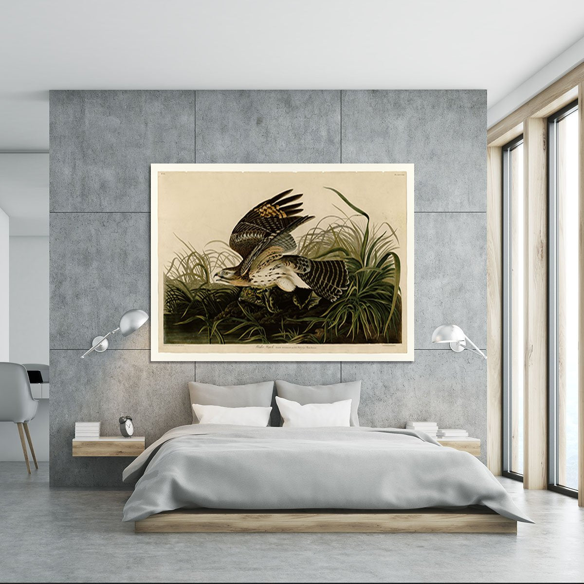 Winter Hawk by Audubon Canvas Print or Poster