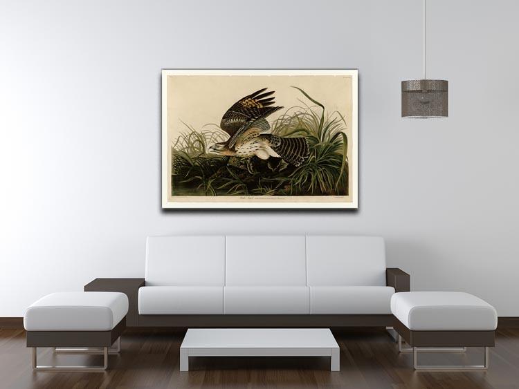 Winter Hawk by Audubon Canvas Print or Poster - Canvas Art Rocks - 4