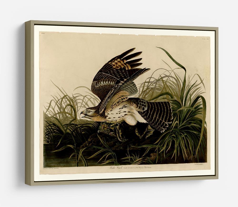 Winter Hawk by Audubon HD Metal Print - Canvas Art Rocks - 8