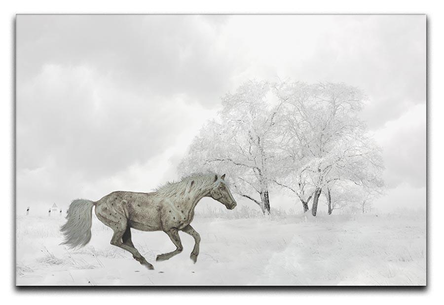 Winter Horse Canvas Print or Poster  - Canvas Art Rocks - 1