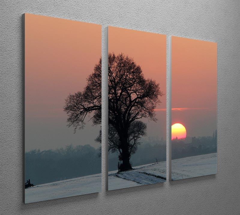 Winter Sunset 3 Split Panel Canvas Print - Canvas Art Rocks - 2