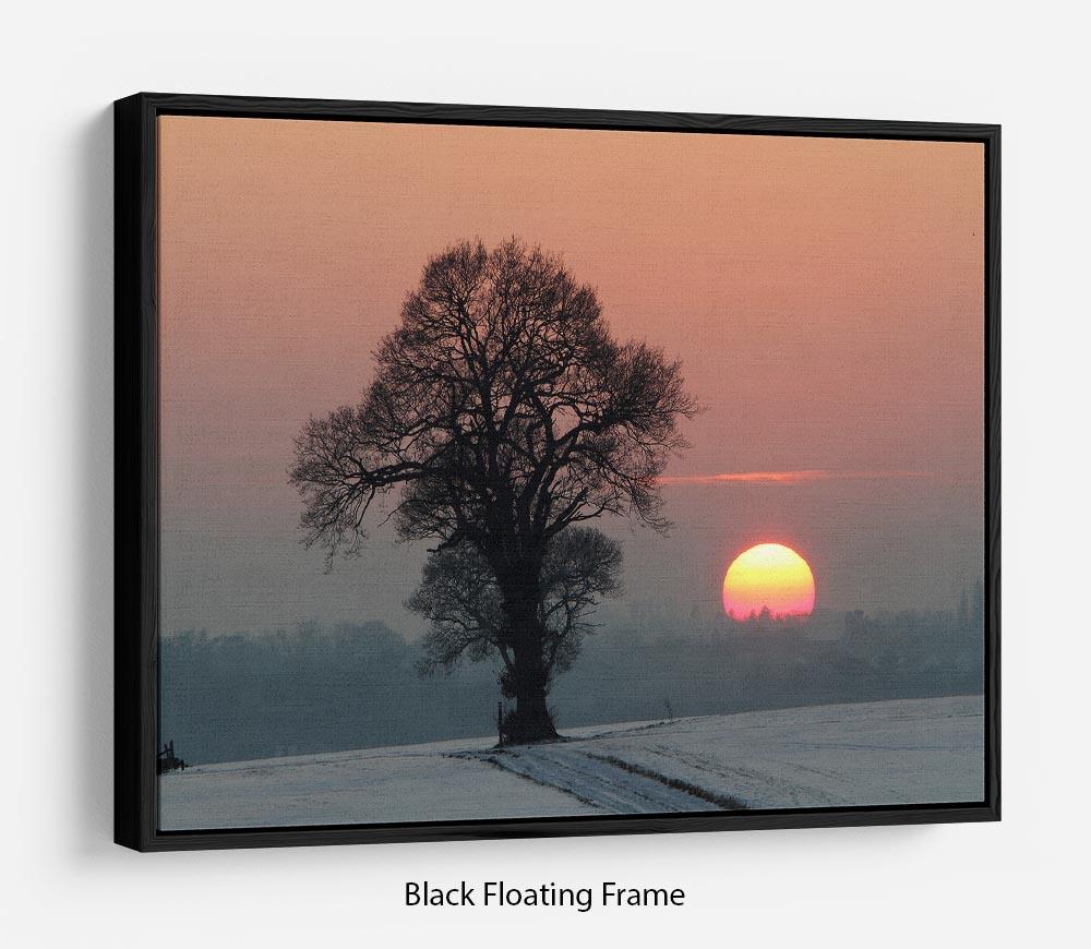 Winter Sunset Floating Frame Canvas - Canvas Art Rocks - 1