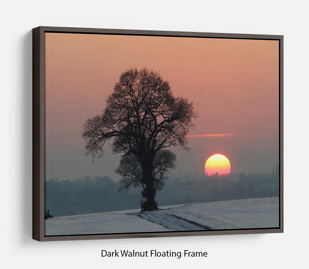 Winter Sunset Floating Frame Canvas - Canvas Art Rocks - 5