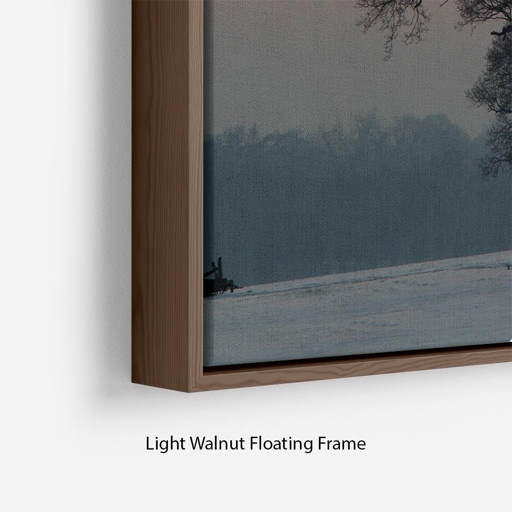 Winter Sunset Floating Frame Canvas - Canvas Art Rocks - 8