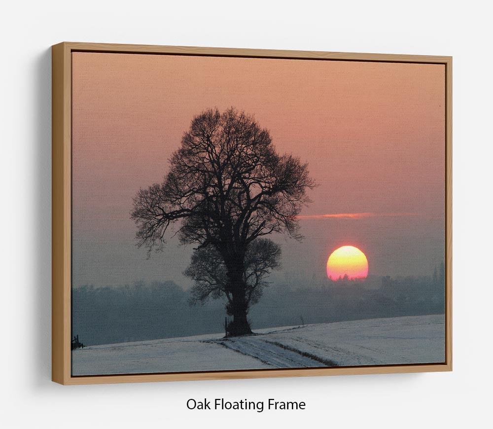 Winter Sunset Floating Frame Canvas - Canvas Art Rocks - 9