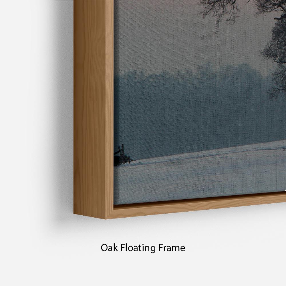 Winter Sunset Floating Frame Canvas - Canvas Art Rocks - 10