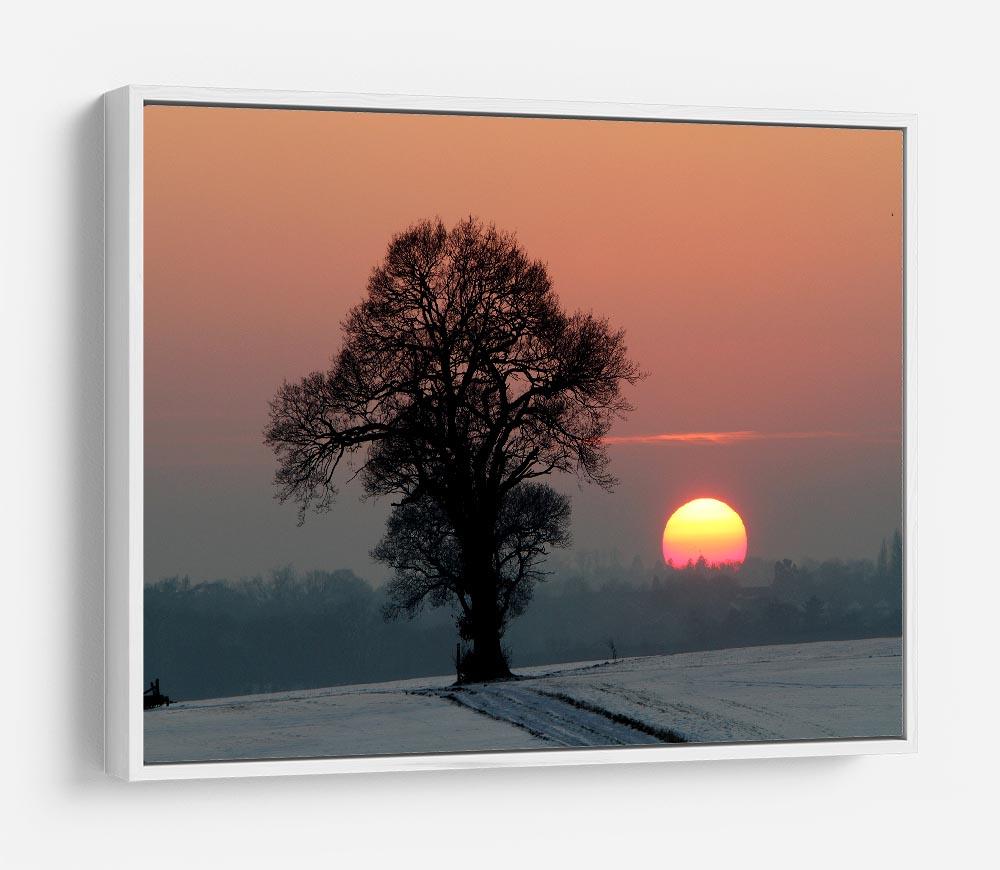 Winter Sunset HD Metal Print - Canvas Art Rocks - 7