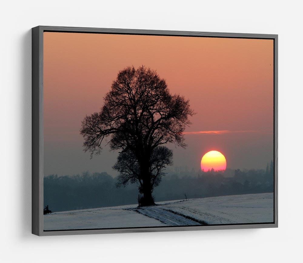 Winter Sunset HD Metal Print - Canvas Art Rocks - 9