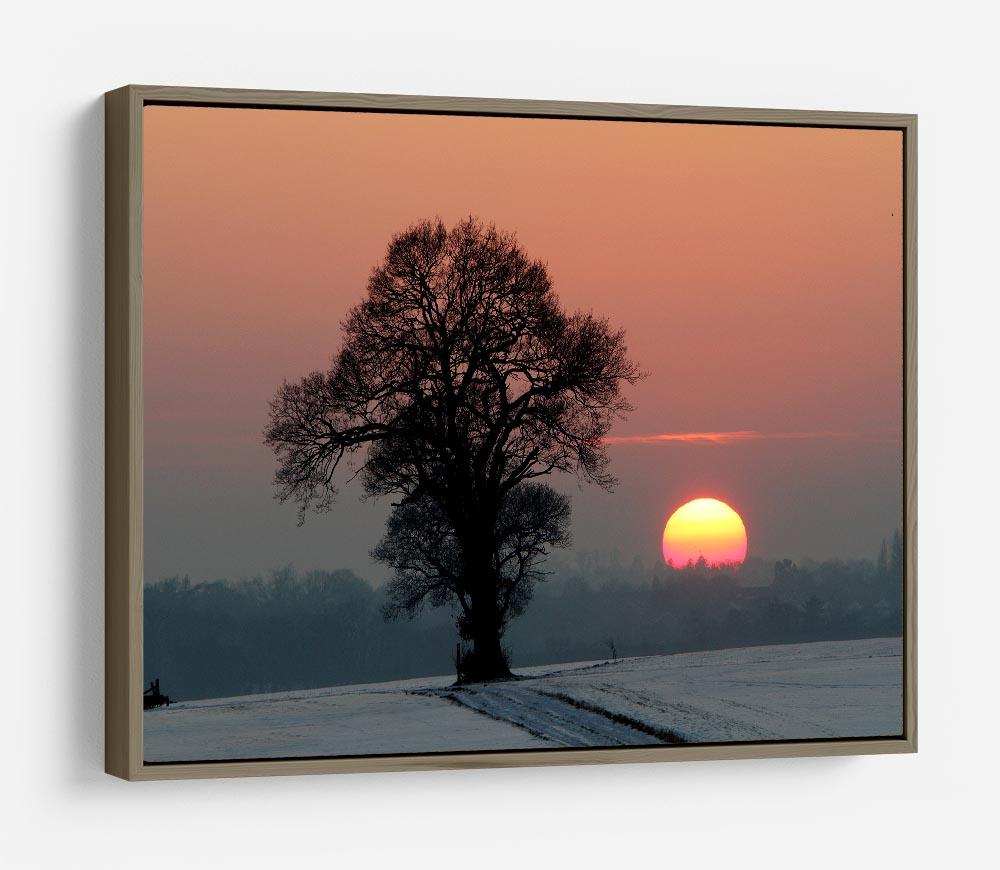 Winter Sunset HD Metal Print - Canvas Art Rocks - 10