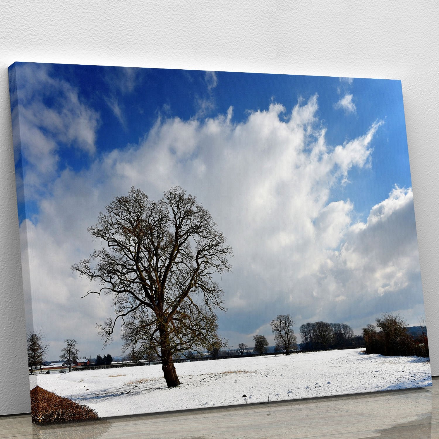 Winters day in wales Canvas Print or Poster