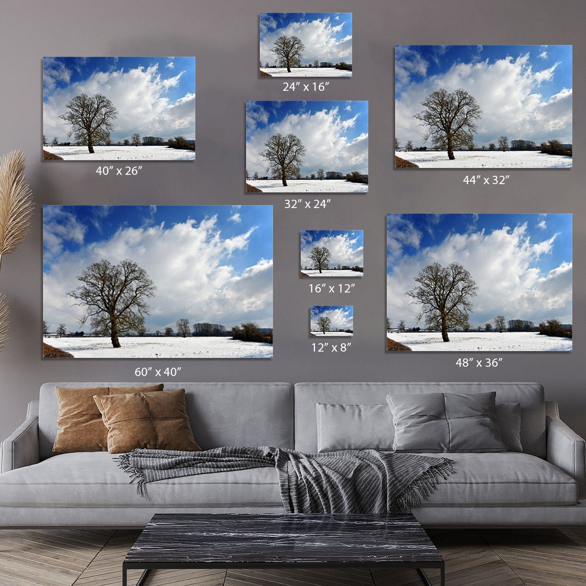 Winters day in wales Canvas Print or Poster