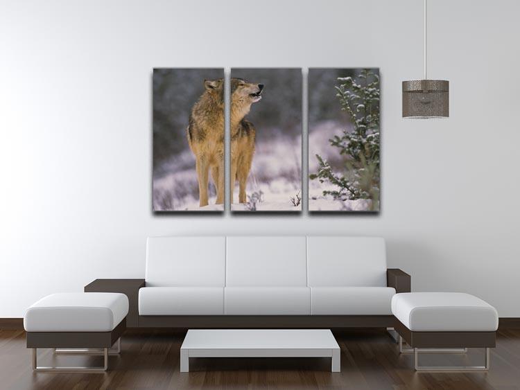 Wolf Howling in Snow 3 Split Panel Canvas Print - Canvas Art Rocks - 3