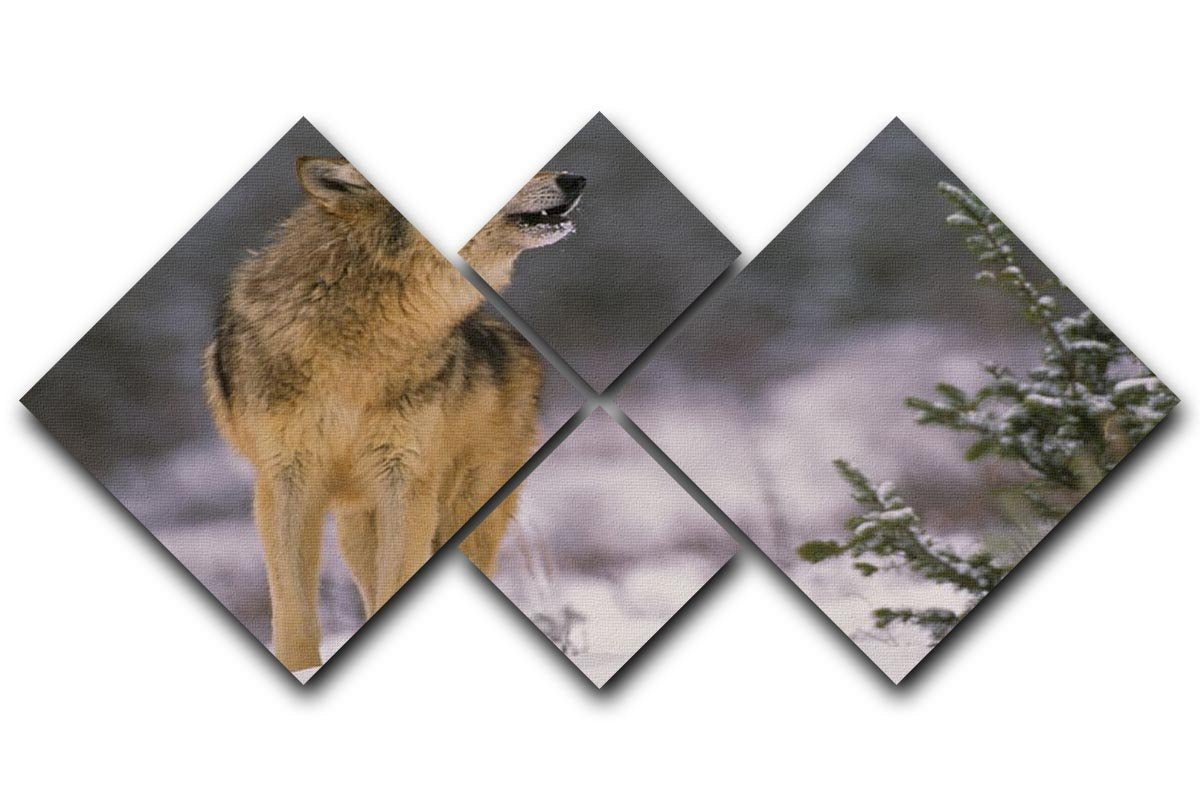 Wolf Howling in Snow 4 Square Multi Panel Canvas - Canvas Art Rocks - 1