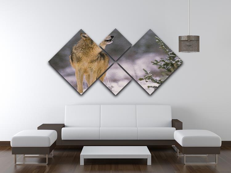 Wolf Howling in Snow 4 Square Multi Panel Canvas - Canvas Art Rocks - 3