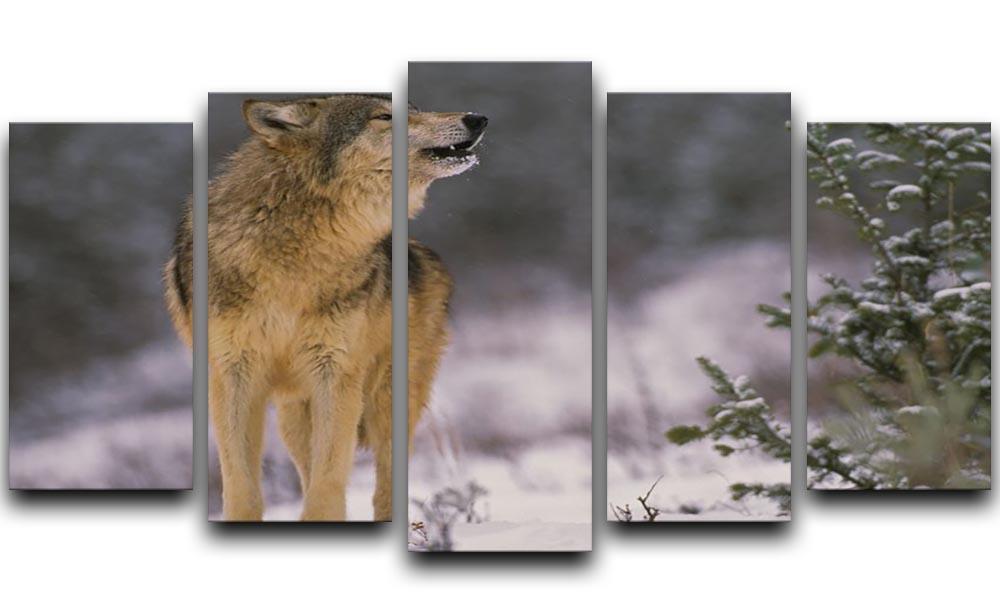 Wolf Howling in Snow 5 Split Panel Canvas - Canvas Art Rocks - 1