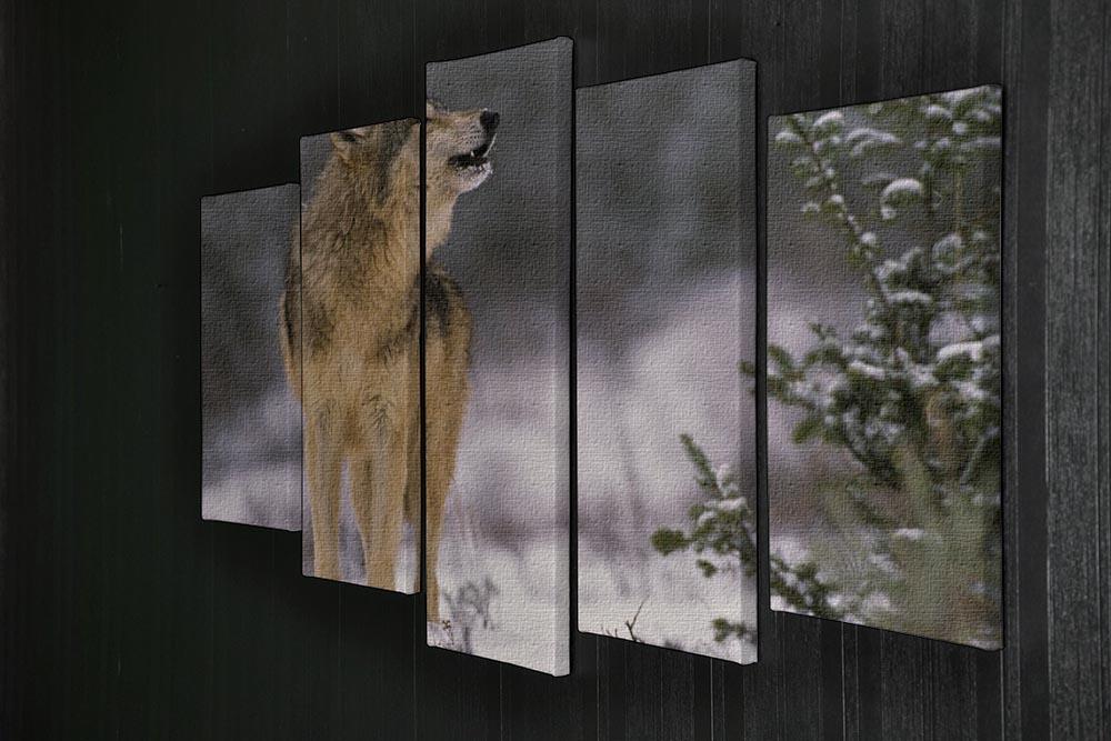 Wolf Howling in Snow 5 Split Panel Canvas - Canvas Art Rocks - 2