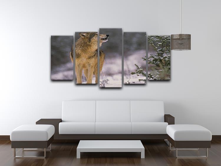 Wolf Howling in Snow 5 Split Panel Canvas - Canvas Art Rocks - 3