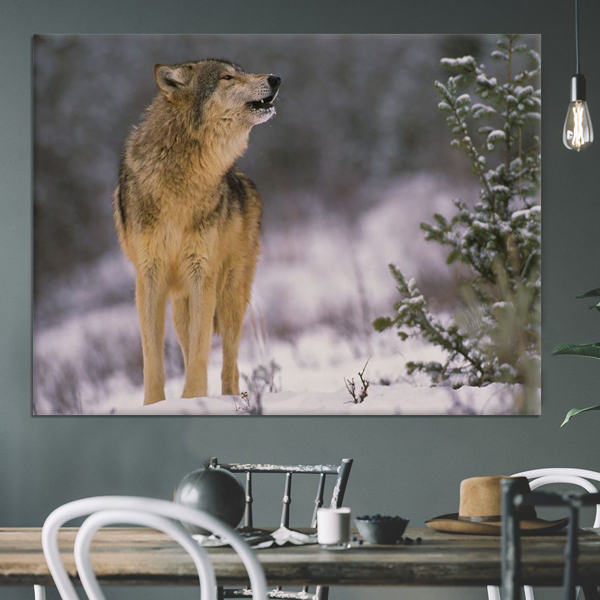 Wolf Howling in Snow Canvas Print or Poster