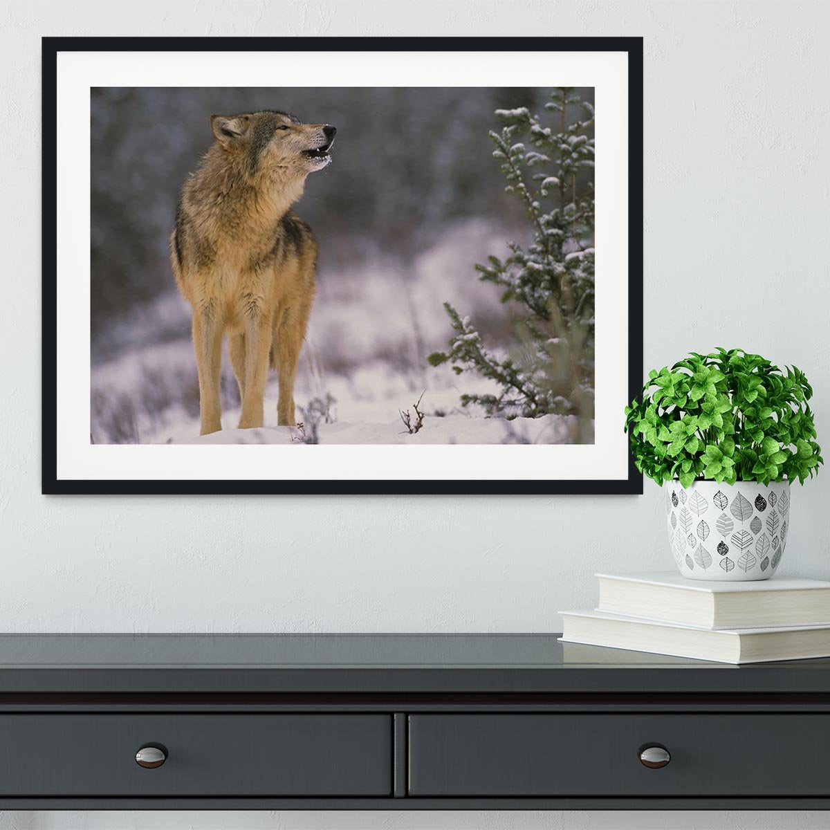 Wolf Howling in Snow Framed Print - Canvas Art Rocks - 1