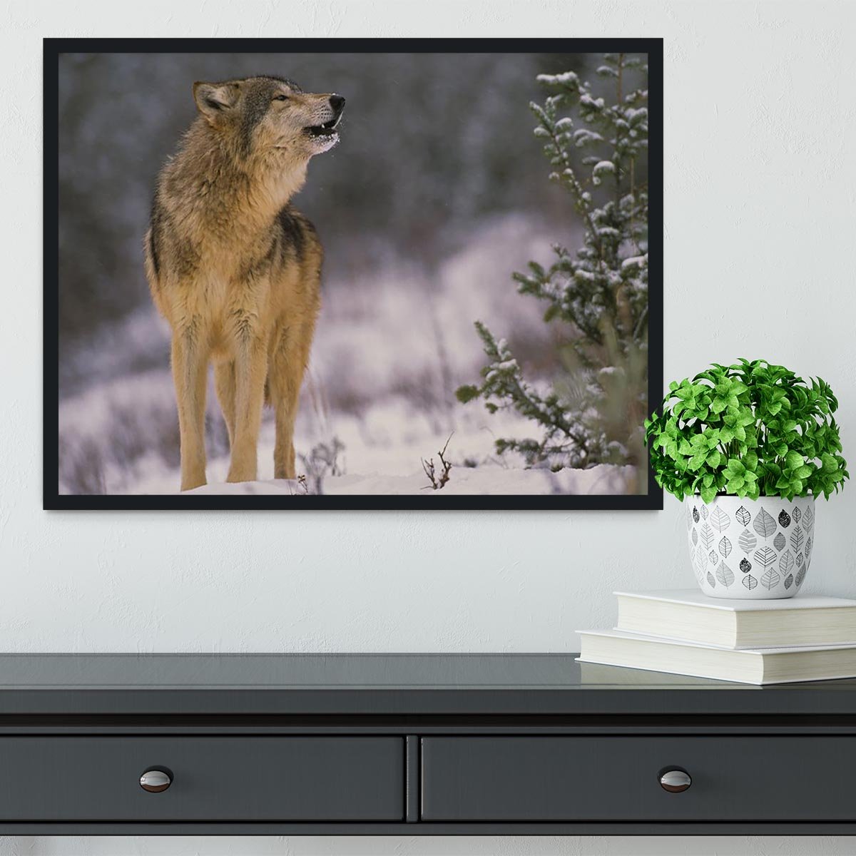 Wolf Howling in Snow Framed Print - Canvas Art Rocks - 2