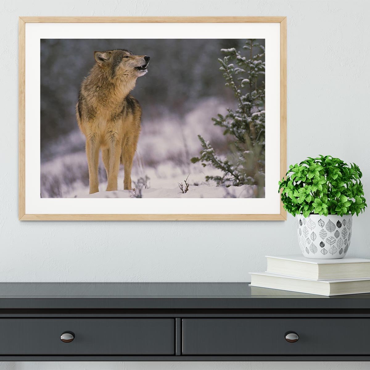 Wolf Howling in Snow Framed Print - Canvas Art Rocks - 3