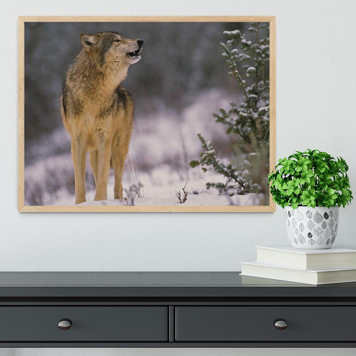 Wolf Howling in Snow Framed Print - Canvas Art Rocks - 4