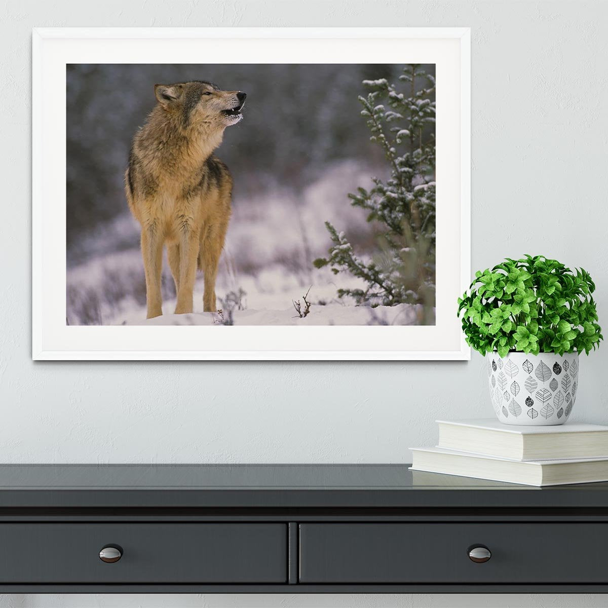 Wolf Howling in Snow Framed Print - Canvas Art Rocks - 5