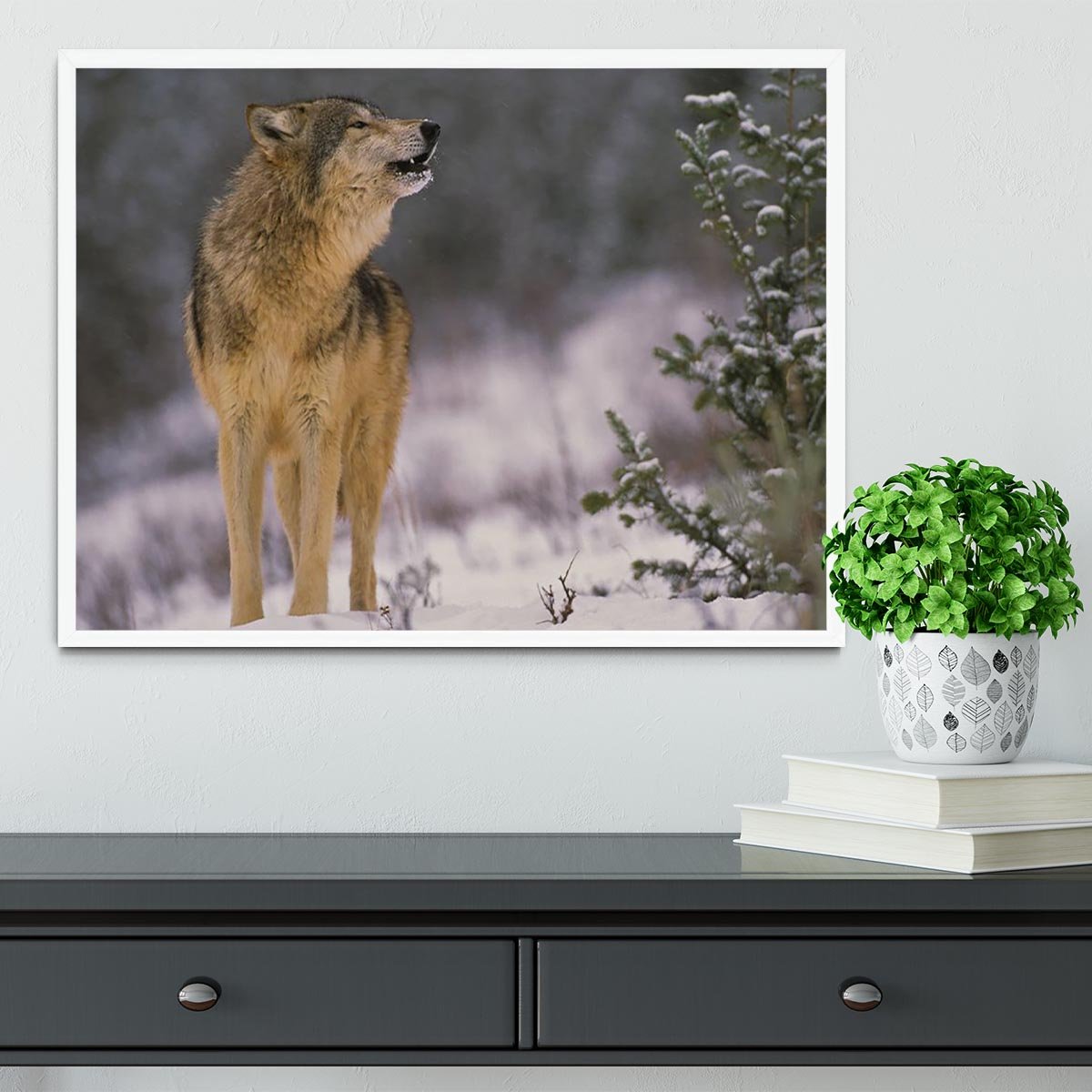 Wolf Howling in Snow Framed Print - Canvas Art Rocks -6